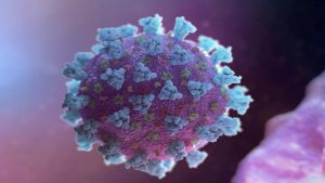 Google COVID Donation