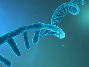 Elusive mRNA Technology