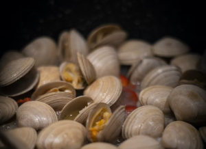 Shellfish Mucus