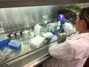 Longevity Biomedical