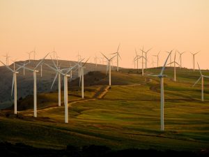 Sustainable Commercial Cards Initiative