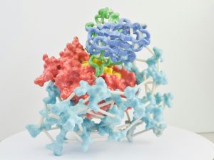 Bio-Rad Enhances Antibody Platform