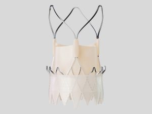 Boston Scientific Gets CE Mark for ACURATE Prime Valve