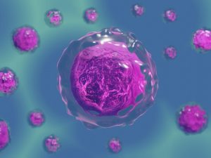 Ordspono Gains EC Approval