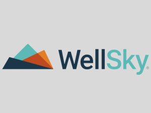 WellSky, Connect 211 Boost Access