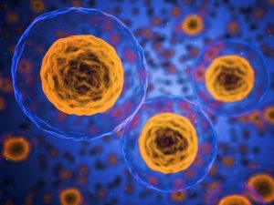 BD Introduces Robotics-Ready Genomics Kits