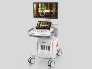 Siemens introduces AI Abdomen Ultrasound