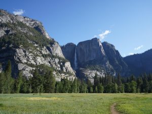 Subaru Cuts Waste in National Parks