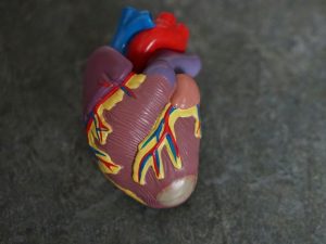 4C Medical Secures $175M