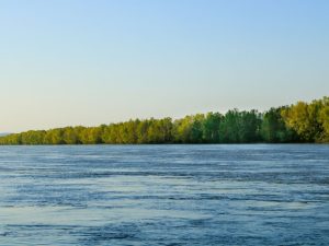 Coca-Cola's Efforts to Safeguard Water Resources