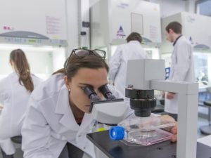 Roche Announce Cancer Treatment Collaboration