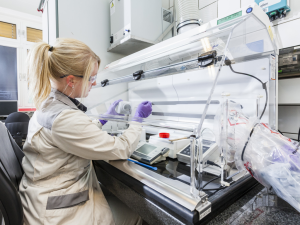 Bayer Launches Centafore Imaging Platform