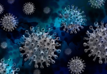 Vor Bio Secures Global License for Telitacicept and Raises $175M in Private Placement